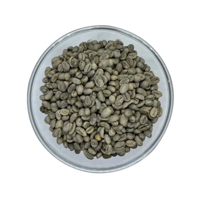 Arabica Plantation