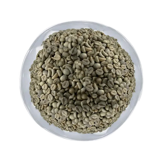 Robusta Parchment